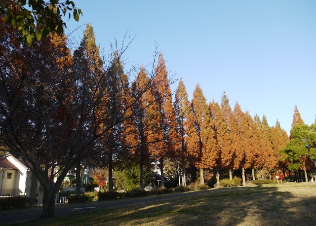 小幡緑地東 05.jpg