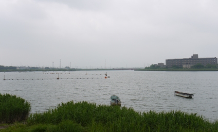 a花菖蒲 026油ケ渕.jpg