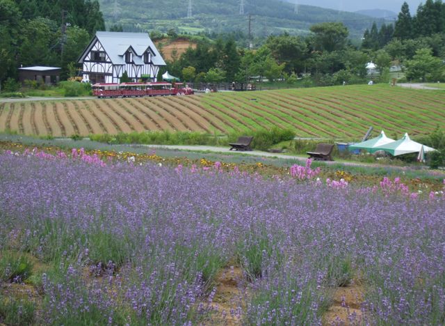 090715牧歌の里15.jpg