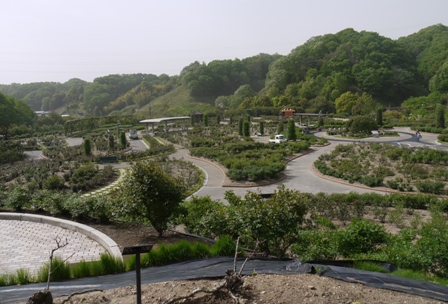 a花フェスタ１世界のバラ園.jpg