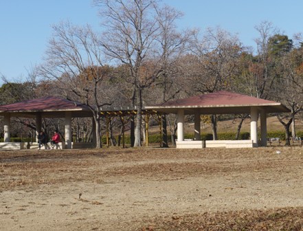 小幡緑地 015.jpg