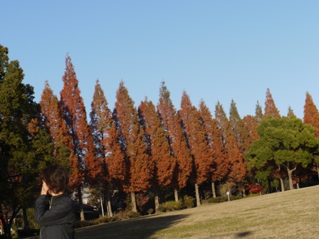 小幡緑地東 08.jpg