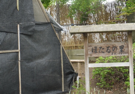 a花菖蒲 027ほたるの里.jpg