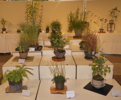 山野草 段１.jpg