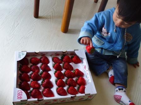 090330苺 002.jpg