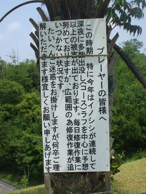 090619ゴルフ 020.jpg