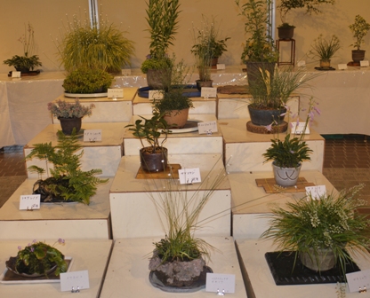 山野草 段２.jpg