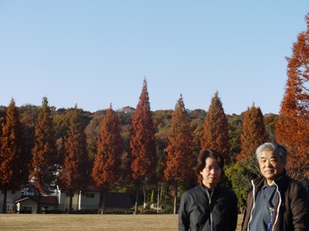 小幡緑地東 10.jpg