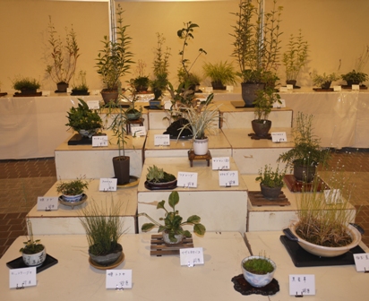 山野草 段３.jpg