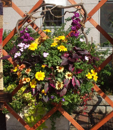 植物バスケット０９.jpg