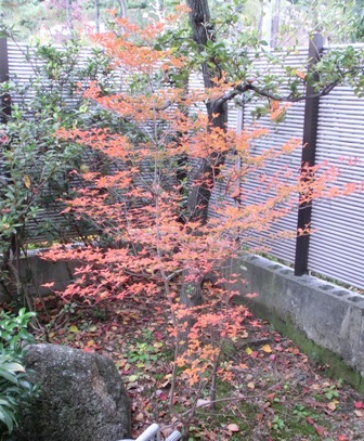 0憩いの家 002.jpg