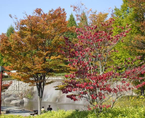四季05楓3泉.jpg