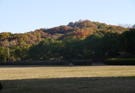 小幡緑地東 15広場.jpg