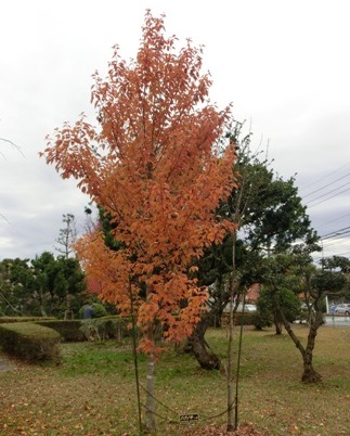 0憩いの家 003.jpg