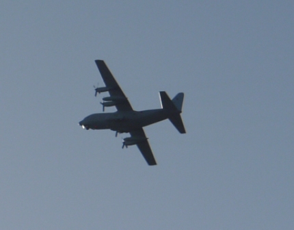 小幡緑地東 16飛行機.jpg