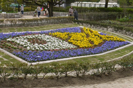 a植物09鯉幟 065.jpg