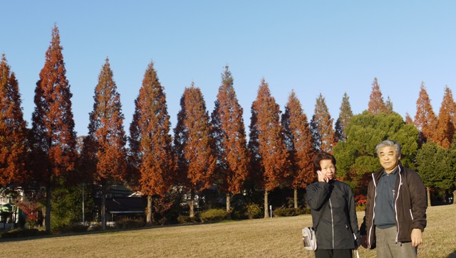 小幡緑地東 17電話.jpg