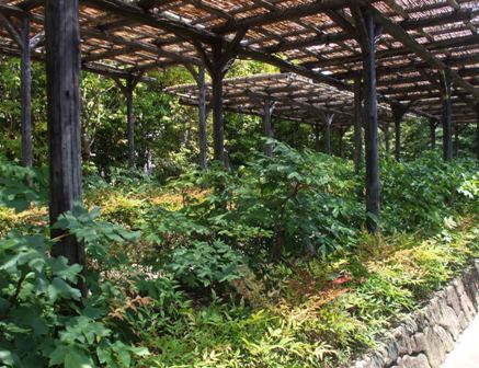 徳川園 02ボタン園.jpg