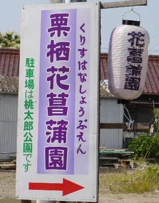 0花菖蒲 015栗栖」.jpg