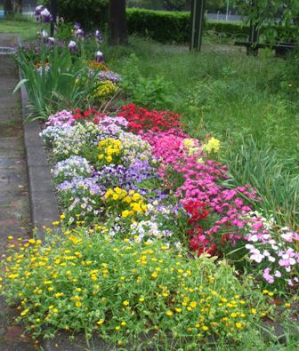 a憩いの家 002.jpg