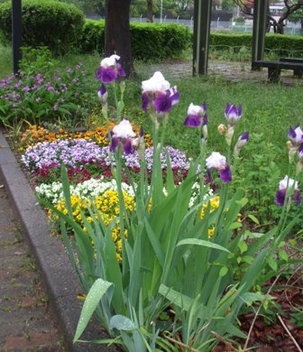 a憩いの家 003.jpg