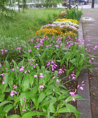 a憩いの家 004.jpg