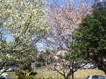 090409憩の家 002.jpg