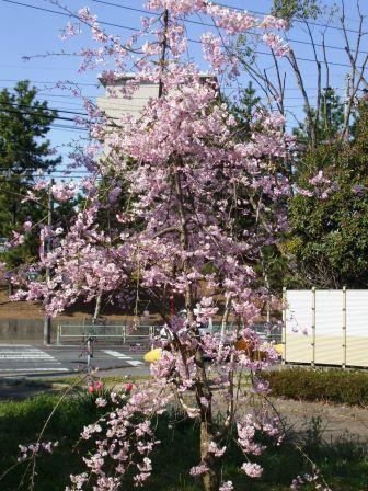 090409憩の家 003.jpg