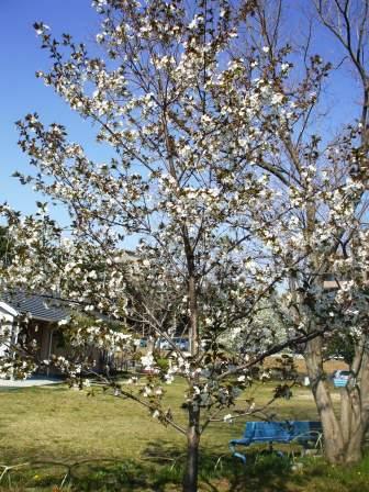 090409憩の家 004.jpg