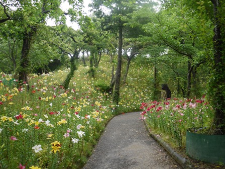 a可睡ゆりの園 35仏.jpg