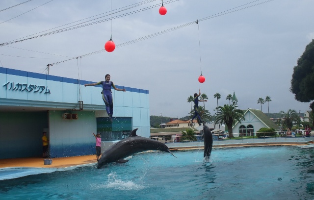 090724知多 016.jpg