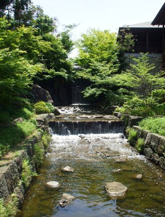 徳川園 10龍門の滝.jpg