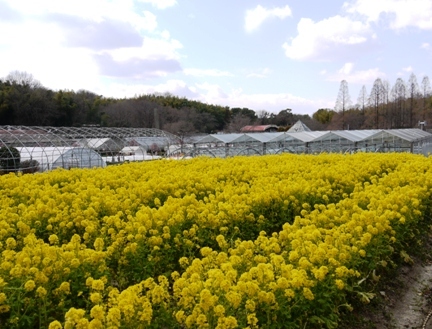 1農業センター 002.jpg