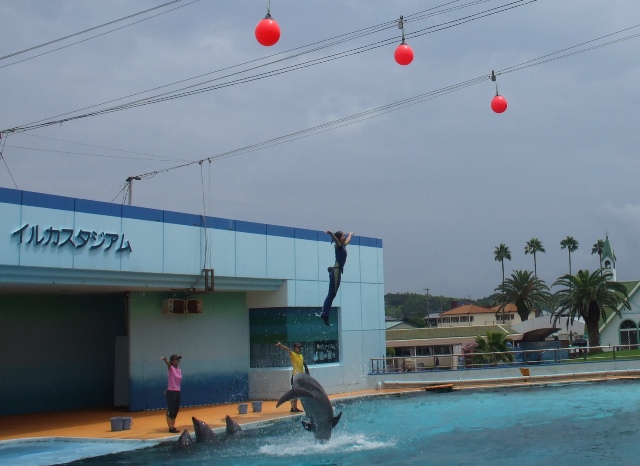 090724知多 020.jpg