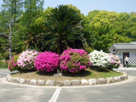 090428浅野公園 003.jpg