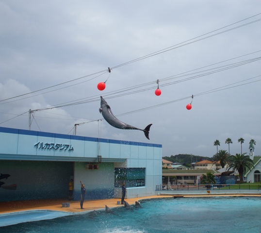 090724知多 024.jpg