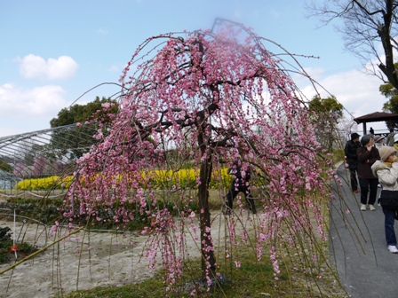 1農業センター 003.jpg