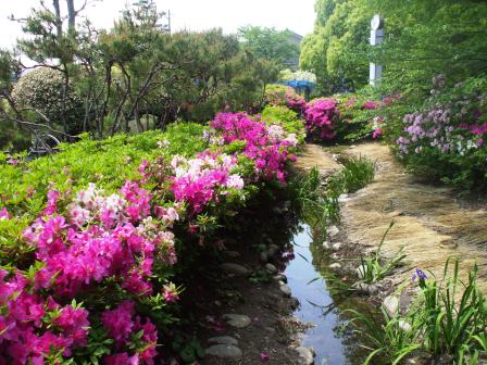 090428浅野公園 004.jpg