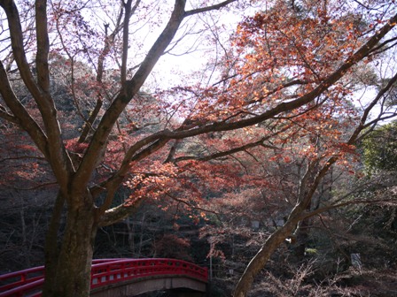 岩屋堂 09紅橋.jpg