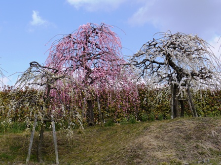 1農業センター 005.jpg