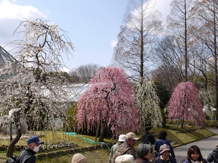 1農業センター 006.jpg