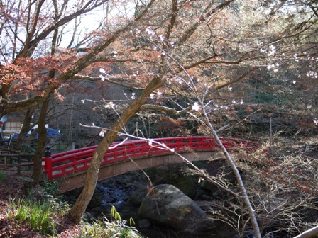 岩屋堂 10紅橋.jpg