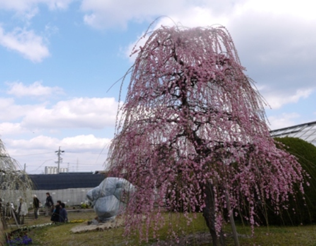 1農業センター 009.jpg