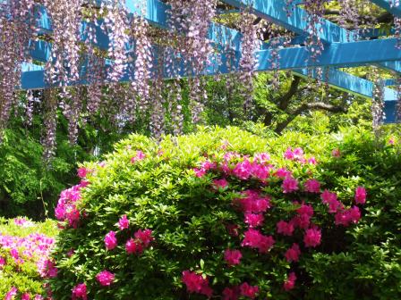 090428浅野公園 009.jpg