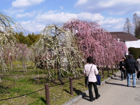 1農業センター 016.jpg