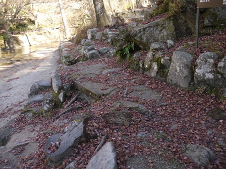 岩屋堂 13落ち葉.jpg