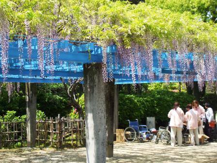 090428浅野公園 011.jpg