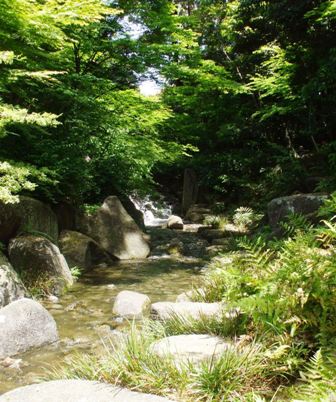 徳川園 22大曽根の滝1.jpg