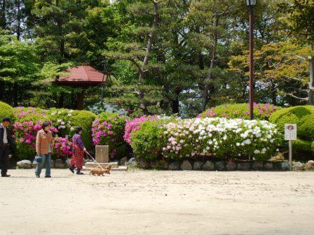 090428浅野公園 014.jpg