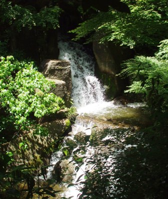 徳川園 23大曽根の滝2.jpg